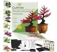 Kit first bonsai winter sweet avec accessoires