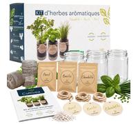 Kit Herbes Aromatiques Intérieur Bio - Basilic Persil Ciboulette - Mini Potager Intérieur avec Bocaux en Verre - Idée Cadeau