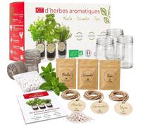 Kit herbes aromatiques intérieur - CULTIVEA - Menthe Thym Coriandre - 3 bocaux verre - Semences bio