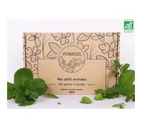 Kit jardinage - mes petits aromates : basilic, persil, coriandre, thym, ciboule