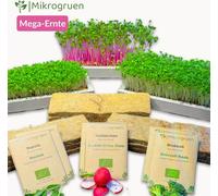Kit Maxi Microgreens - Graines& tampons de culture - Brocoli, radis, roquette