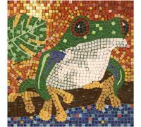 Kit mosaïque loisirs créatifs - 20 x 20 cm - Grenouille - Base en bois