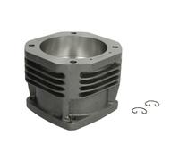 Kit Piston/Chemise de cylindre, compresseur d'air DT Spare Parts 4.61051