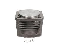 Kit Piston/Chemise de cylindre, compresseur d'air DT Spare Parts 4.61653