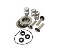Kit pistons + joints + roulements - nettoyeur haute pression