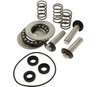 Kit pistons + joints + roulements pour nettoyeur haute pression