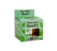 - kit plantation - basilic bio - 8cm