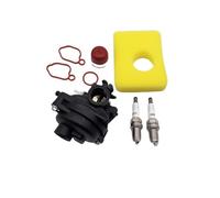 Kit Réparation Carburateur Carburateur 799583 593261 595656 Filtre À Air Bougie D'allumage Ampoule Pour Briggs Stratton 300E 450E 500E 550EX 500 125cc 140ccc Tondeuse À Gazon HGNMPGVVTZ(Blanc)