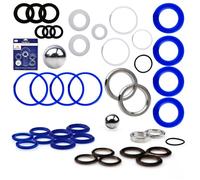 Kit Réparation pour Pulvérisateur Airless - Haute Qualité Montage Facile Compatible Graco Ultra Max II 1095/1595