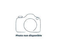 Kit résistance électrique STÉATITE 2200W pour PECS 100, 150 ET 200L