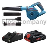 Kit ventilateur sans fil professionnel Bosch GBL 18V-120 avec chargeur de bat...