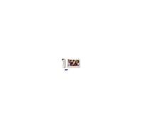 - Kit visiophone filaire MIRA 100