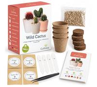 Graines cactus - kit prêt à pousser