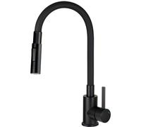 Kitchen faucet with bent spout - 2 types of spray