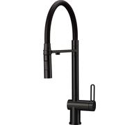 Kitchen faucet with filter connection & flex spout