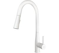 Kitchen faucet with pull-out spout