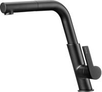 Kitchen faucet with pull-out spout