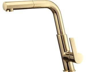 Kitchen faucet with pull-out spout