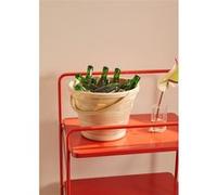KITCHENWARE STUDIO - Panier pliant multi-usage 10 L - Sable Multi
