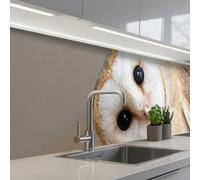KitchenYeah© Crédence Adhésive Cuisine 60x250 cm Résistant À La Chaleur Plaque Adhesif Fond De Hotte Interieur Cuisson Sur Mesure Hibou - Marron - Blanc