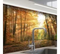 KitchenYeah© Crédence Adhésive Cuisine 60x80 cm Résistant À La Chaleur Plaque Adhesif Fond De Hotte Interieur Cuisson Sur Mesure Forêt - Automne - Soleil - Paysage - Nature - Arbres - Feuilles