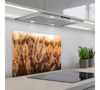 KitchenYeah© Credence Adhesive Pour Cuisine 50x70 cm Panneau Mural Adhesif Fond De Hotte Plaque Pvc Murale Peel And Stick Protege Mur Plumes roseau - Herbe - Coucher soleil - Or - Serein