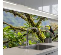 KitchenYeah© Credence Adhesive Pour Cuisine 60x150 cm Panneau Mural Adhesif Fond De Hotte Plaque Pvc Murale Peel And Stick Protege Mur Toucan - Jungle - Nature - Coloré