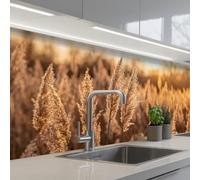 KitchenYeah© Credence Adhesive Pour Cuisine 60x200 cm Panneau Mural Adhesif Fond De Hotte Plaque Pvc Murale Peel And Stick Protege Mur Plumes roseau - Herbe - Coucher soleil - Or - Serein
