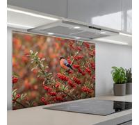 KitchenYeah© Credence Adhesive Pour Cuisine 60x90 cm Panneau Mural Adhesif Fond De Hotte Plaque Pvc Murale Peel And Stick Protege Mur Bouvreuil - baies - automne - nature - coloré