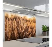 KitchenYeah© Credence Adhesive Pour Cuisine 60x90 cm Panneau Mural Adhesif Fond De Hotte Plaque Pvc Murale Peel And Stick Protege Mur Plumes roseau - Herbe - Coucher soleil - Or - Serein