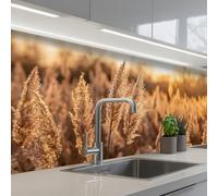 KitchenYeah© Credence Adhesive Pour Cuisine 80x250 cm Panneau Mural Adhesif Fond De Hotte Plaque Pvc Murale Peel And Stick Protege Mur Plumes roseau - Herbe - Coucher soleil - Or - Serein