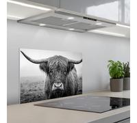 KitchenYeah© Credence Cuisine 40x60 cm Adhesif Protection Mur Plaque De Cuisson Plastique Rigide Revetement Murale À Coller Highlander écossais - Noir - Blanc - Herbe