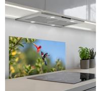 KitchenYeah© Credence Cuisine 45x90 cm Adhesif Protection Mur Plaque De Cuisson Plastique Rigide Revetement Murale À Coller Colibri - Fleur - Nature - Vert