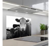 KitchenYeah© Credence Cuisine 50x70 cm Adhesif Protection Mur Plaque De Cuisson Plastique Rigide Revetement Murale À Coller Vaches - Noir et blanc