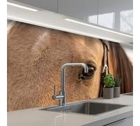 KitchenYeah© Credence Cuisine 60x200 cm Adhesif Protection Mur Plaque De Cuisson Plastique Rigide Revetement Murale À Coller Cheval - Oeil - Marron