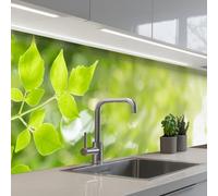 KitchenYeah© Credence Cuisine 60x300 cm Adhesif Protection Mur Plaque De Cuisson Plastique Rigide Revetement Murale À Coller Nature - Printemps - Vert - Feuilles