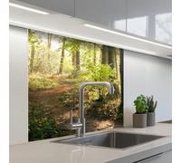 KitchenYeah© Credence Cuisine 80x80 cm Adhesif Protection Mur Plaque De Cuisson Plastique Rigide Revetement Murale À Coller Forêt - Arbres - Chemin - Soleil - Plantes - Feuilles - Nature