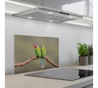 KitchenYeah© Crédence Cuisine À Coller 40x60 cm Protection Plaque De Cuisson Adhesif Plastique Rigide Dalle Murale Perroquet - Branche - Nature - Coloré