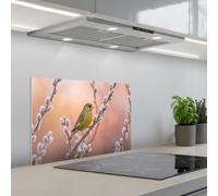 KitchenYeah© Credence Cuisine Adhesive 40x60 cm Protege Mur Revetement Mural Adhesif Parement Interieur À Coller Plaque Plastique Rigide Verdier - Chats - Printemps - Nature - Douceur