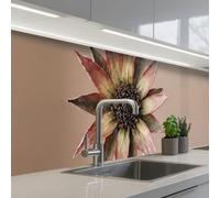 KitchenYeah© Credence Cuisine Adhesive 60x300 cm Protege Mur Revetement Mural Adhesif Parement Interieur À Coller Plaque Plastique Rigide Fleur sèche - Protea - Vintage - Beige - Rustique
