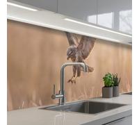KitchenYeah© Credence Cuisine Adhesive 60x300 cm Protege Mur Revetement Mural Adhesif Parement Interieur À Coller Plaque Plastique Rigide Buse - Rapace - Nature - Marron