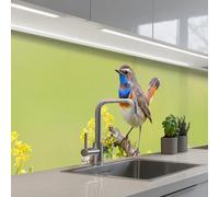 KitchenYeah© Credence Cuisine Adhesive 60x300 cm Protege Mur Revetement Mural Adhesif Parement Interieur À Coller Plaque Plastique Rigide Oiseau - Branche - Nature - Coloré