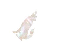 KIXZSAZ Autocollants résistants pour guitare, apprentissage des tablatures, cadeau idéal pour débutants, accessoire musical sûr pour apprendre sans abîmer la guitare, Loup des neiges