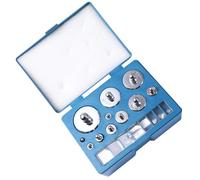 KJHBV Kit D'échelle de Calibration 500g en Acier Inoxydable avec Pince, Ensemble de Poids D'étalonnage de Précision pour Balance Cuisine et Laboratoire Scientifique