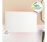 Klarstein Radiateur Infrarouge Mural, Chauffage Infrarouge 580W, Panneau Chauffant Infrarouge Puissant, Radiateur Electrique Extra Plat, Salle de Bain, Sans CO2, Faible Consommation d'Energie