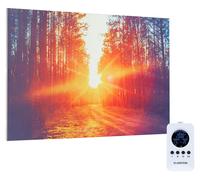 Klarstein Radiateur Infrarouge Mural, Chauffage Infrarouge 580W, Panneau Chauffant Infrarouge Puissant, Radiateur Electrique Extra Plat, Salle de Bain, Sans CO2, Faible Consommation d'Energie