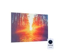 Klarstein Wonderwall Infinite 580W 59,5x90cm Radiateur Tableau Forêt