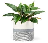 KMERCE Grand Pot de Fleurs Tressé, Cache Pot Plante Interieur, Panier à Plantes en Corde de Coton pour décoration Intérieure, Panier de Rangement pour Jouets, Vêtements - Diamètre 30cm