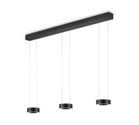 Knapstein Zera Suspension LED, habillage en acrylique, 6 sources lumineuses, 51.518.07-2,