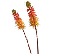 Kniphofia Uvaria Fleur artificielle à tige longue en plastique pour bouquet de mariage, fête, décoration d'intérieur, centres de table, 70 cm (orange)